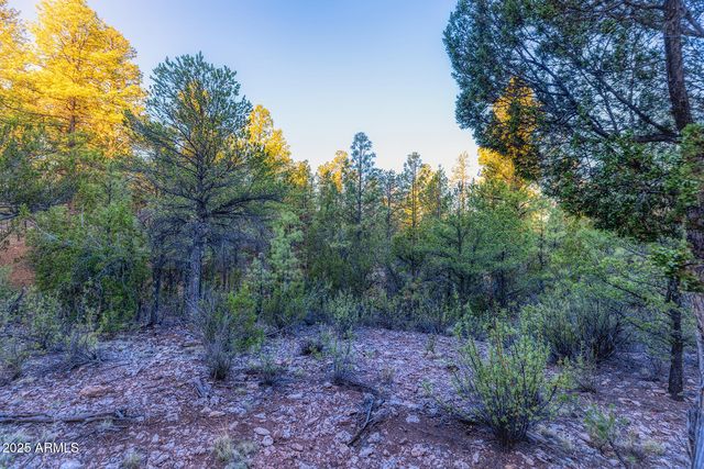 2333 ELK RIDGE Lane 004H, Overgaard, AZ 85933