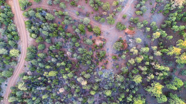 2333 ELK RIDGE Lane 004H, Overgaard, AZ 85933