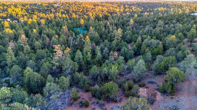 2333 ELK RIDGE Lane 004H, Overgaard, AZ 85933