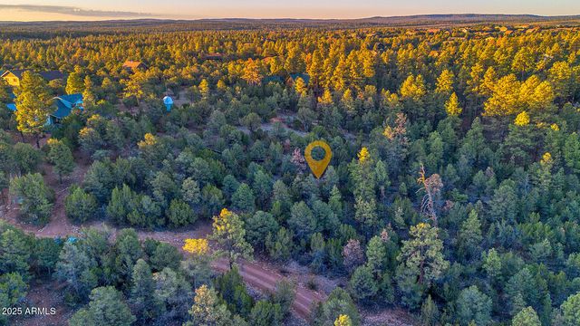 2333 ELK RIDGE Lane 004H, Overgaard, AZ 85933