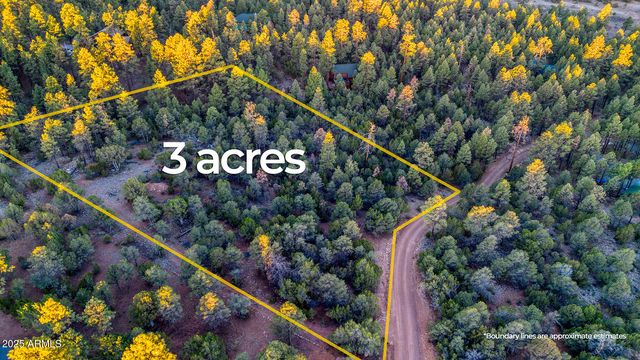 2333 ELK RIDGE Lane 004H, Overgaard, AZ 85933