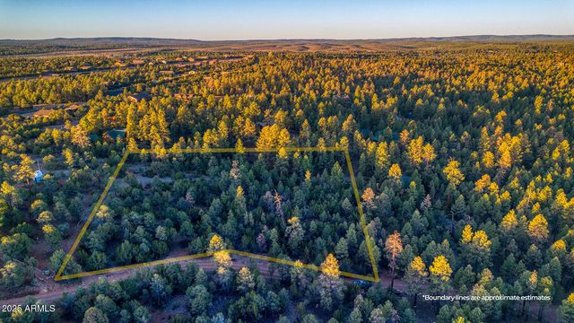 2333 ELK RIDGE Lane 004H, Overgaard, AZ 85933