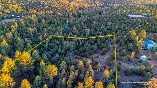 2333 ELK RIDGE Lane 004H, Overgaard, AZ 85933