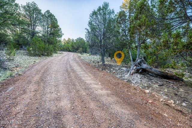 2333 ELK RIDGE Lane 004H, Overgaard, AZ 85933