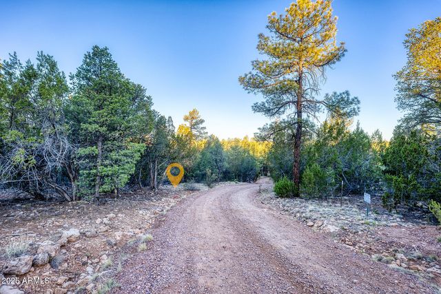 2333 ELK RIDGE Lane 004H, Overgaard, AZ 85933