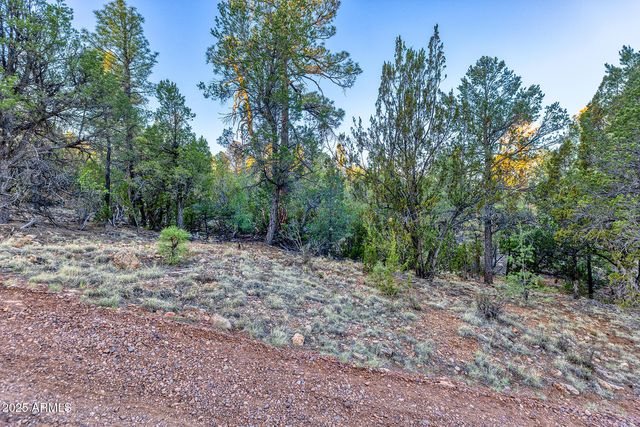 2333 ELK RIDGE Lane 004H, Overgaard, AZ 85933