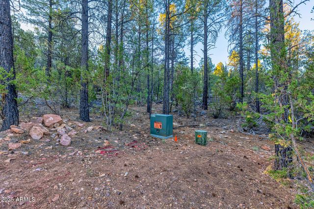 2333 ELK RIDGE Lane 004H, Overgaard, AZ 85933