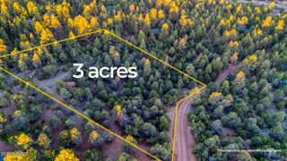 2333 ELK RIDGE Lane 004H, Overgaard, AZ 85933