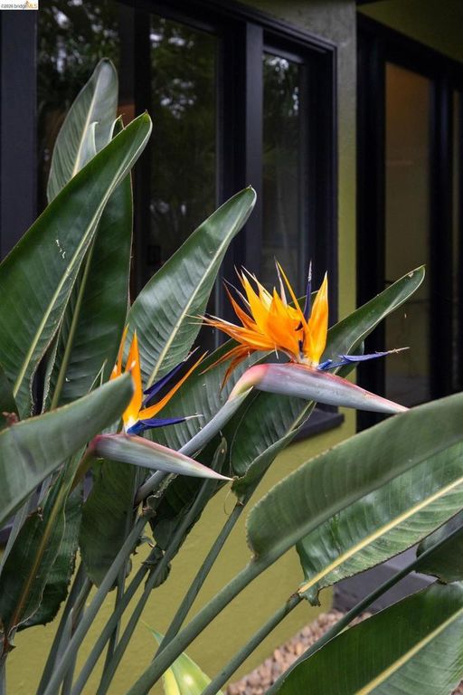 Image 22 of property listing at 10 Burdeck Ct, Oakland, CA 94602