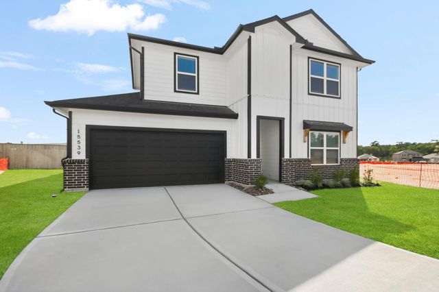 15539 Grassy Knoll Court, Montgomery, TX 77316