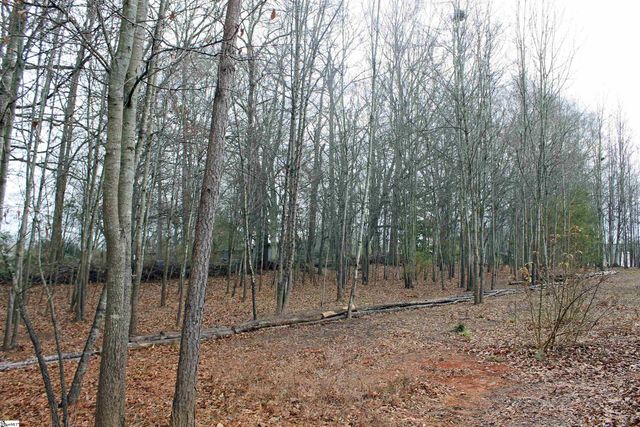 203 Palmetto Farms Way, Pelzer, SC 29669