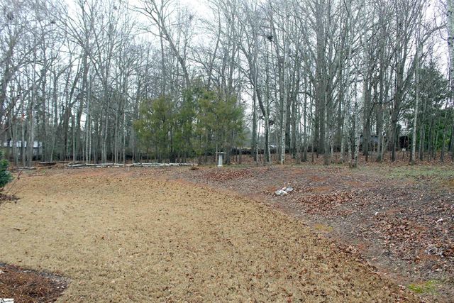 203 Palmetto Farms Way, Pelzer, SC 29669