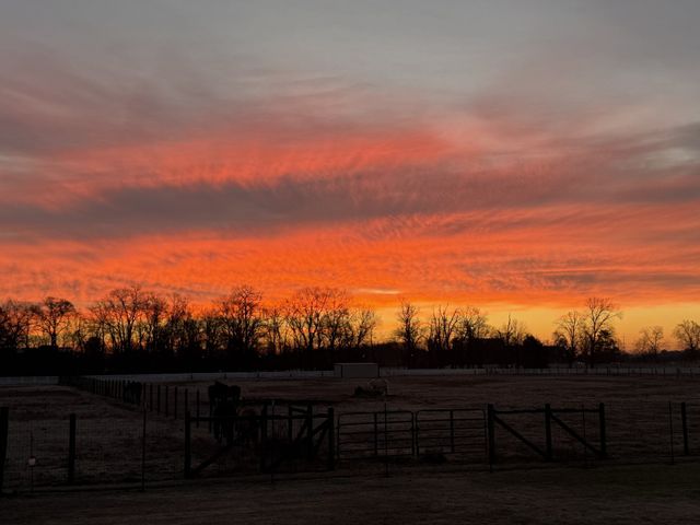 3534 Caroline Farms Dr, Murfreesboro, TN 37129