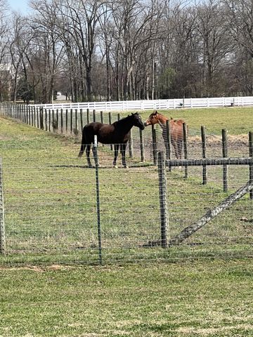 3534 Caroline Farms Dr, Murfreesboro, TN 37129