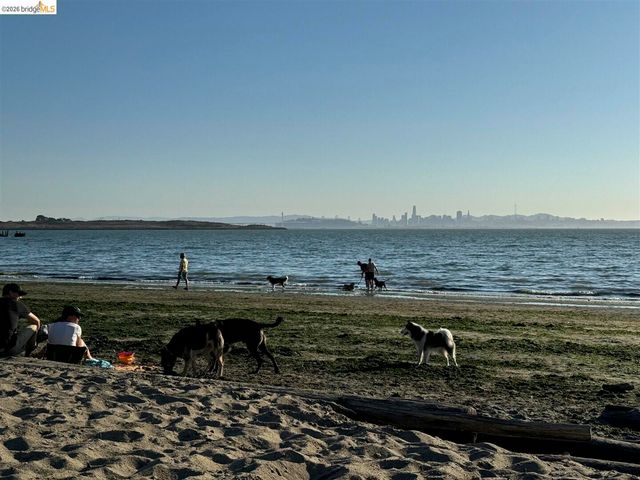 848 Stannage AVE 11, Albany, CA 94706