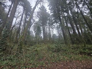 Sw LEVY CODE 001, Portland, OR 97239