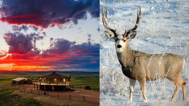 593 Lower Prairie Dog Road, Sheridan, WY 82801