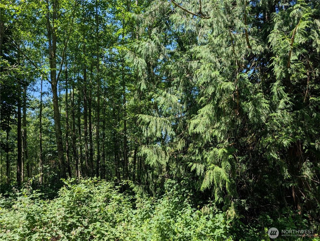 21646 Snowden Drive, Mount Vernon, WA 98274