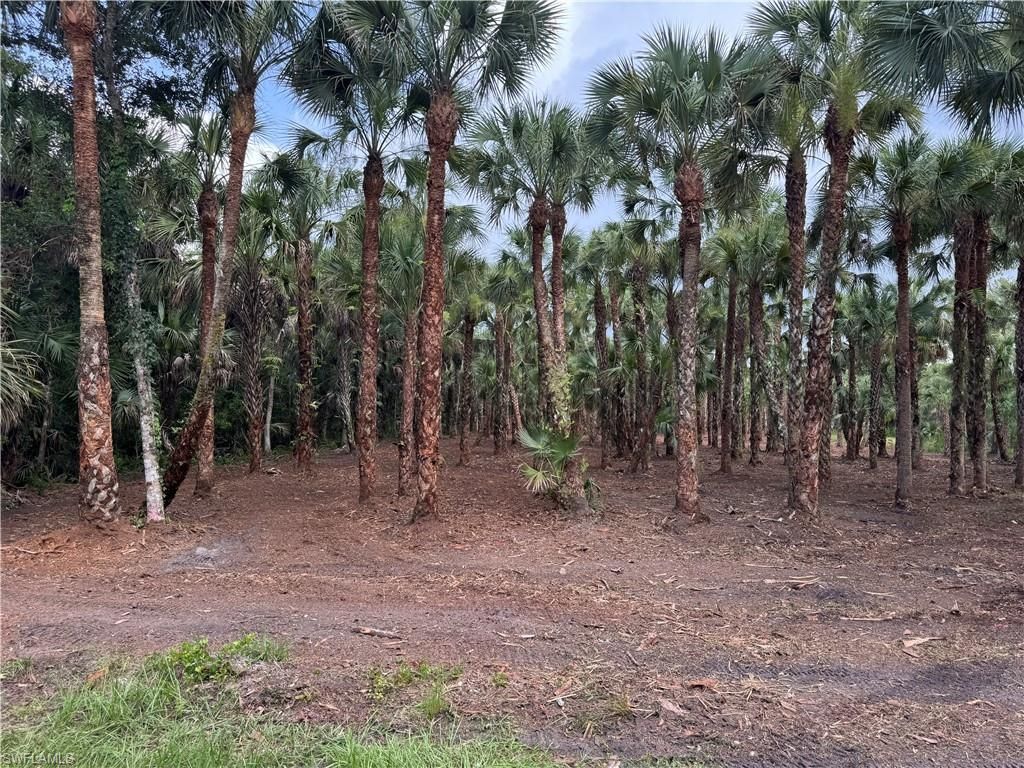 14TH AVE NW, NAPLES, FL 34120 — photo 2