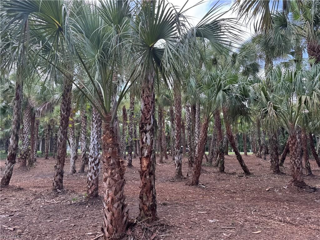 14TH AVE NW, NAPLES, FL 34120 — photo 3