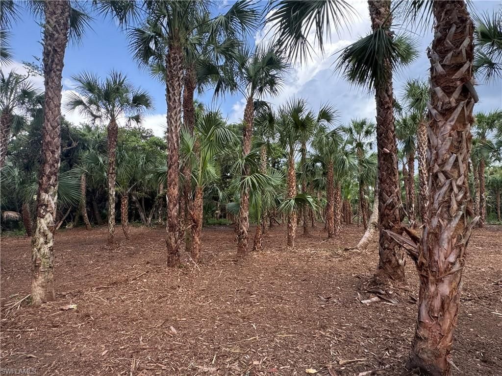 14TH AVE NW, NAPLES, FL 34120 — photo 4