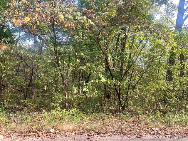 0 Bell St., Potosi, MO 63664