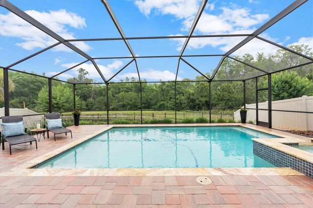 12929 PAYTON STREET, Odessa, FL 33556