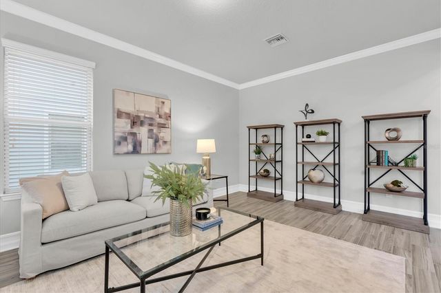 12929 PAYTON STREET, Odessa, FL 33556