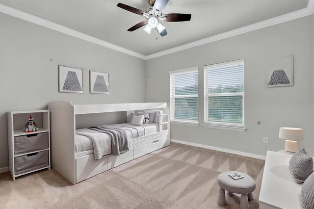 12929 PAYTON STREET, Odessa, FL 33556