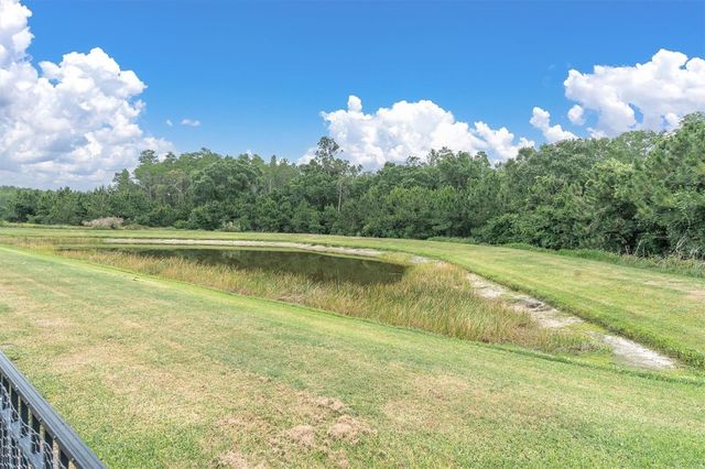 12929 PAYTON STREET, Odessa, FL 33556