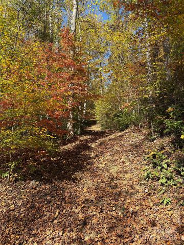 28 Cadillac Pointe, Waynesville, NC 28785