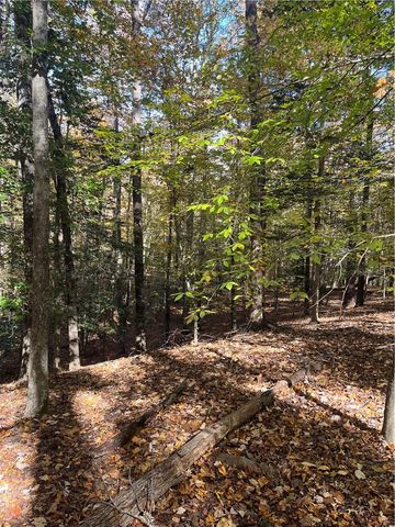 2425 Jolly Pond RD, Williamsburg, VA 23188