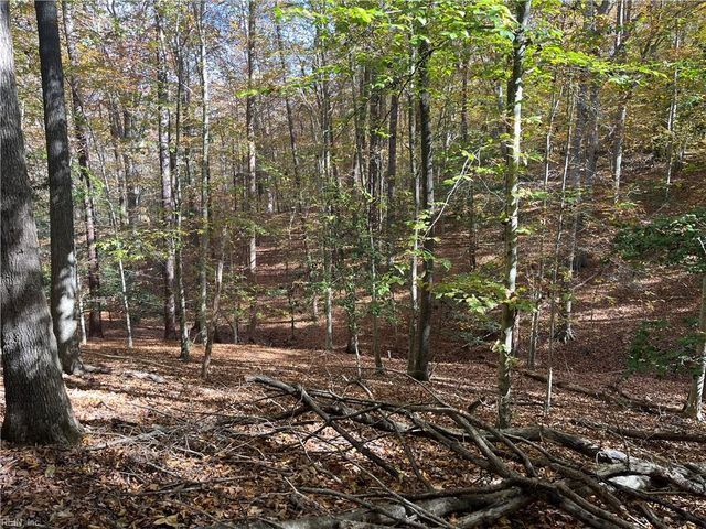 2425 Jolly Pond RD, Williamsburg, VA 23188