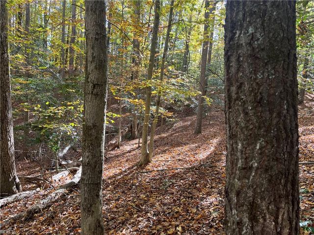 2425 Jolly Pond RD, Williamsburg, VA 23188