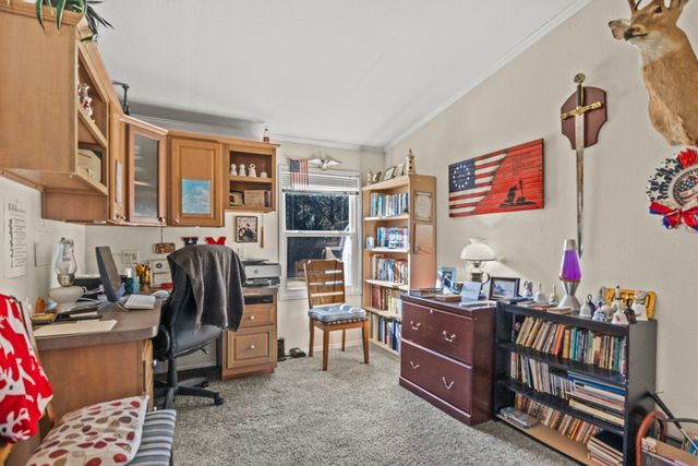 8155 Nasturtium Road, Ore City, TX 75683