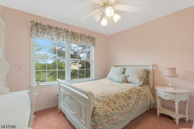 6 Varnon Ct, Hillsborough Twp., NJ 08844