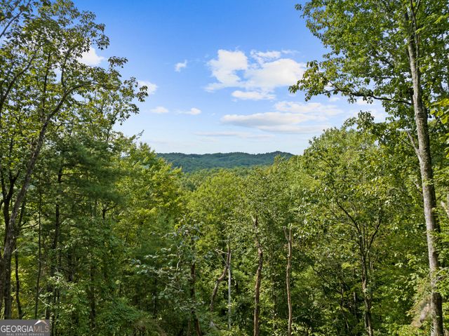 21 Mountain View Trail 3,4, Cherry Log, GA 30522