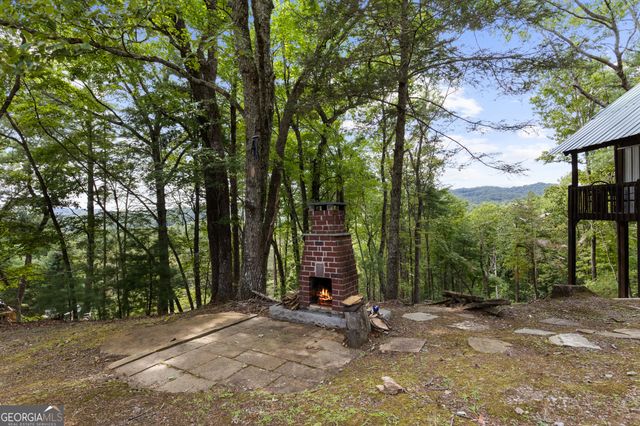21 Mountain View Trail 3,4, Cherry Log, GA 30522