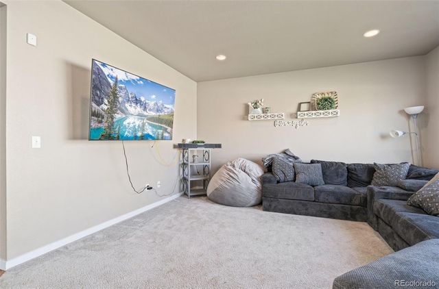 3904 Sweetgum Street, Wellington, CO 80549