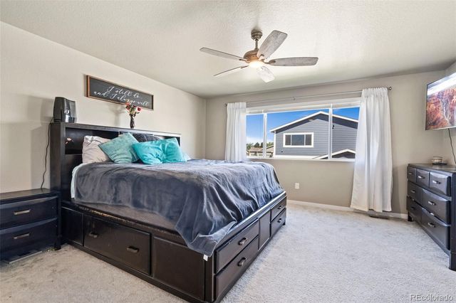 3904 Sweetgum Street, Wellington, CO 80549