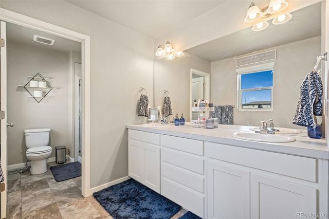 3904 Sweetgum Street, Wellington, CO 80549