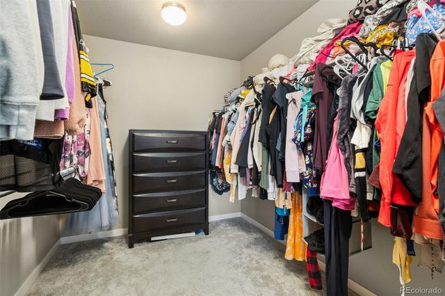 3904 Sweetgum Street, Wellington, CO 80549