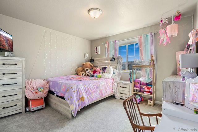 3904 Sweetgum Street, Wellington, CO 80549