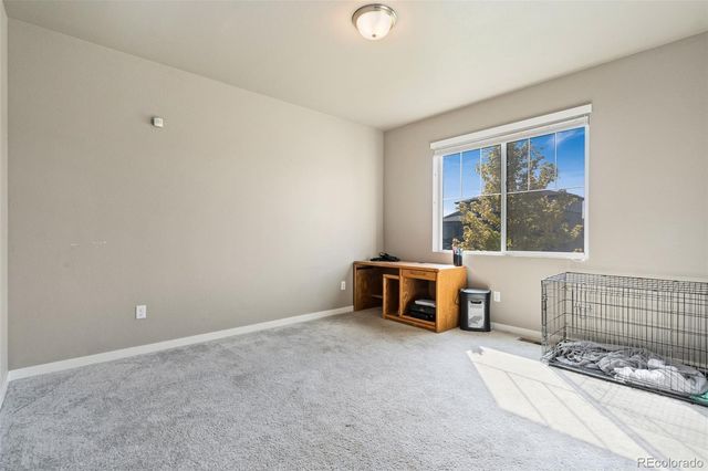 3904 Sweetgum Street, Wellington, CO 80549