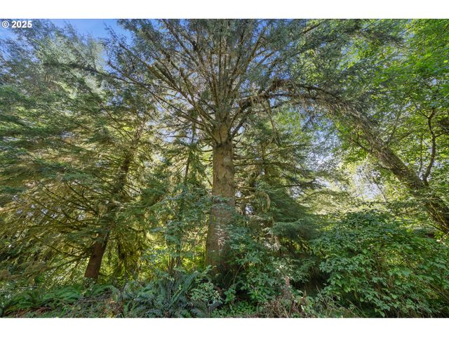 54615 CASCADE TRACE Rd, Neskowin, OR 97149