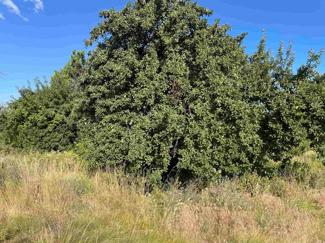 16XX S Fairview Heights Rd, Medical Lake, WA 99001