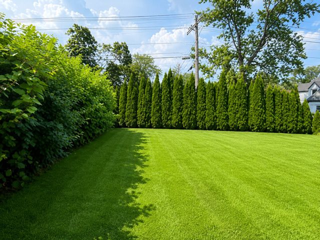 4262 W Pratt Avenue, Lincolnwood, IL 60712