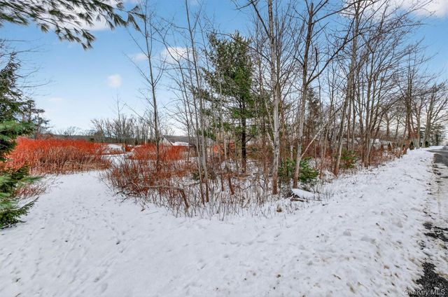 51 Laurel Trail, Wurtsboro, NY 12790