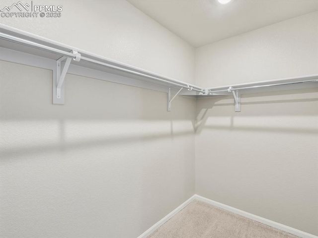 11404 Saugeye Street, Colorado Springs, CO 80925