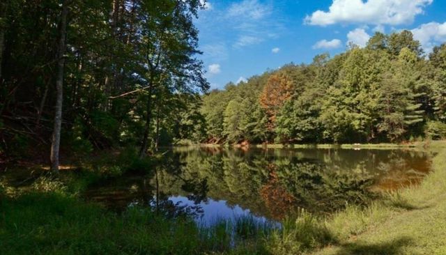 133 Pine Ridge Road, Ellijay, GA 30536